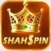 Shah Spin Game