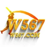 w567 Game